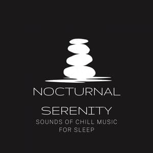 Nocturnal Serenity: Sounds of Chill Music for Sleep - Piano Relaxation Music Masters
