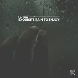 Exquisite Rain to Enjoy - Rainfall Place