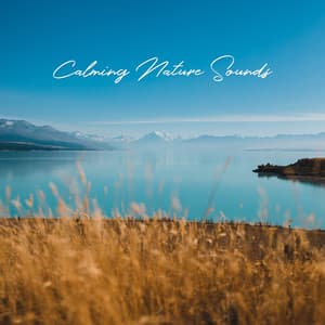 Calming Nature Sounds: Discover Inner Harmony and Peace of Mind - Natural New Age Maker!