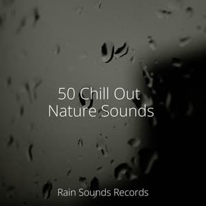 50 Chill Out Nature Sounds - Meditation