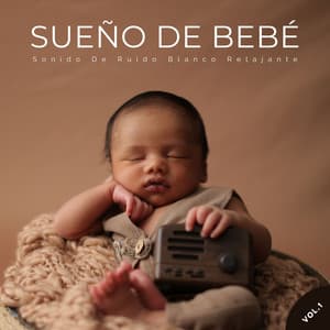Sueño Del Bebé: Sonido De Ruido Blanco Relajante Vol. 1 - Sonidos de la naturaleza con música