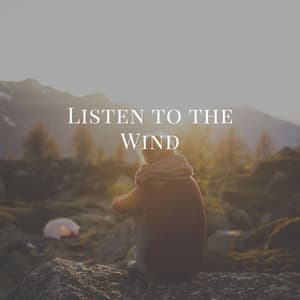 Listen to the Wind - Beach Top Sounders