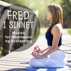 Fred i Sinnet - Musikk for Meditasjon og Avslapning, Zen - Tilstand, Yoga Guru - Yoga Meditation Guru