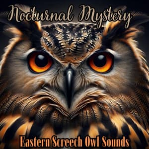 Nocturnal Mystery: Eastern Screech Owl Sounds for Sleep and Rest - Relaxing Music for Bath Time