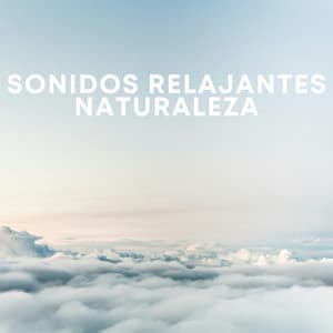 Sonidos Relajantes Naturaleza - Chuva de Ruído Branco