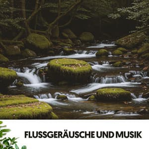 Flüsse und Bäche: Melodien der Ruhe - Relajacion