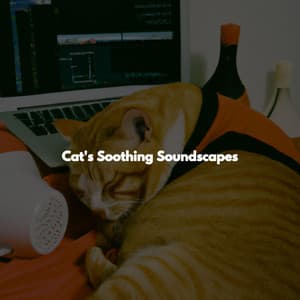 Cat's Soothing Soundscapes - Cheerful Instrumental Cafe Jazz