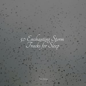 50 Enchanting Storm Tracks for Sleep - Rain