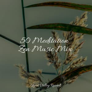 50 Meditation Zen Music Mix - Masters of Binaurality