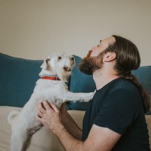 Pet Whisker Melodies: Jazz Piano for Bonding - Relaxing Piano Jazz