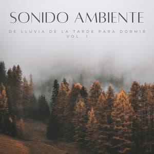 Sonido Ambiente De Lluvia De La Tarde Para Dormir Vol. 1 - Lluvia para un sueño profundo
