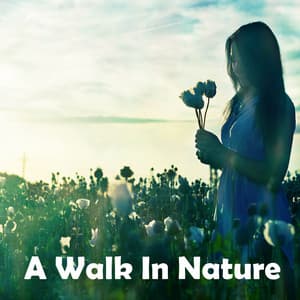 A Walk In Nature - Meditación Interna