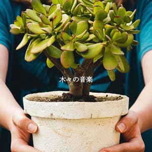 木々の音楽 - Musique pour Travailler Playlist