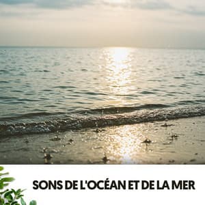 Sons de l'Océan et de la Mer: Berceau de Rêves - Cat Music