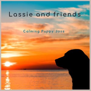 Calming Puppy Jazz - Lassie and friends