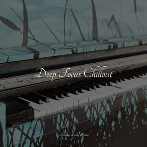 50 Sounds to Help You Work and Study - Piano Tranquil