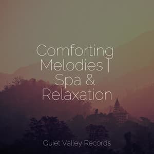 Comforting Melodies | Spa & Relaxation - Relaxing Rain Sounds