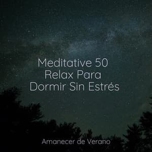 Meditative 50 Relax Para Dormir Sin Estrés - Meditación Interna