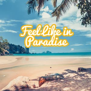 Feel Like in Paradise: Ibiza Holiday Time, Relaxing Beats, Night Party, Good Vibes - New Age Wellness Creator