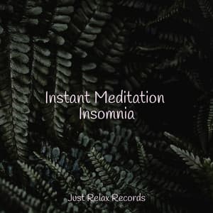 Instant Meditation Insomnia - Sonidos de la Naturaleza Relajacion