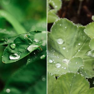 Romantic Background Music for Chill Tuesday - Quiet Piano Jazz Relax