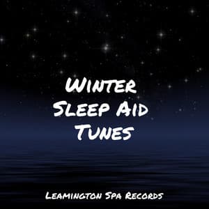 Winter Sleep Aid Tunes - Guided Meditation