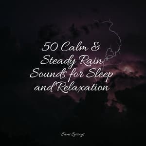 50 Calm & Steady Rain Sounds for Sleep and Relaxation - Soothing Nature Sounds