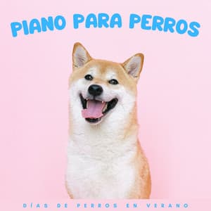 Piano Para Perros: Días De Perros En Verano - Piano: relajación clásica