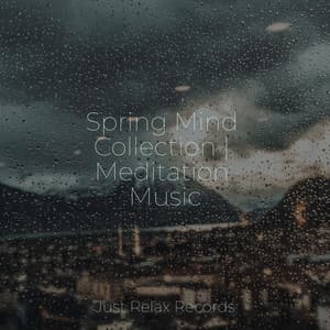 Spring Mind Collection | Meditation Music - Musica Reiki