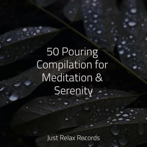 50 Pouring Compilation for Meditation & Serenity - Musica romantica instrumental