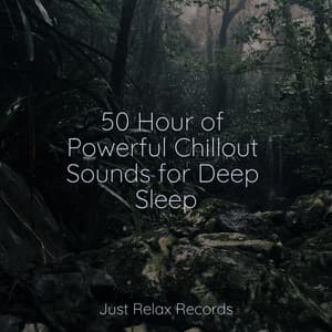 50 Hour of Powerful Chillout Sounds for Deep Sleep - Mantra para Dormir