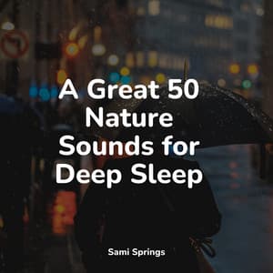 A Great 50 Nature Sounds for Deep Sleep - Tranquil Music Sound of Nature