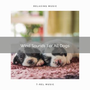 Wind Sounds For All Dogs - Dog Relax