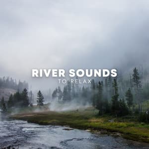 River Sounds To Relax - ASMR Earth