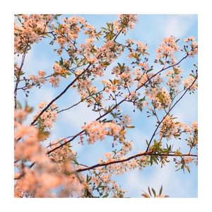 All Positive Emotions - Peaceful Piano Chillout