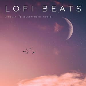 Lofi Beats: A Relaxing Selection Of Music - lofi stu