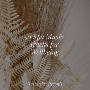 50 Spa Music Tracks for Wellbeing - Instrumental