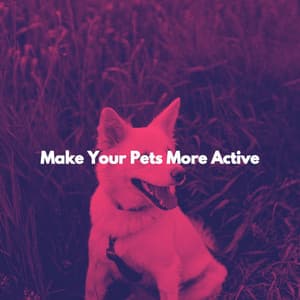 Make Your Pets More Active - Spanish Cafe Music