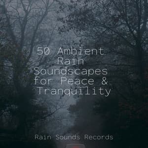 50 Ambient Rain Soundscapes for Peace & Tranquility - Music For Absolute Sleep