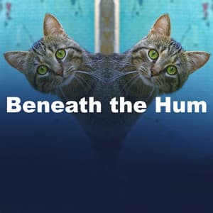 Beneath the Hum - Puppy Music Dreams