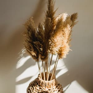 Balm for the Soul - Acoustic Chill Out