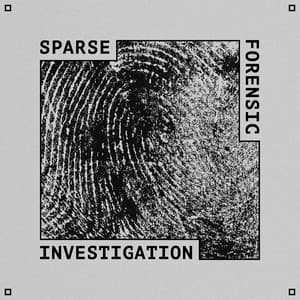 Sparse Forensic Investigation - Benjamin Starnberg