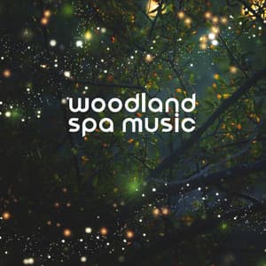Woodland Spa Music: Wellness Center Songs, Time for Self-Care and Relaxation - Wellness Spa Music Oasis