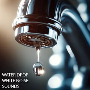 Water Drop White Noise Sounds - Water Soundscapes