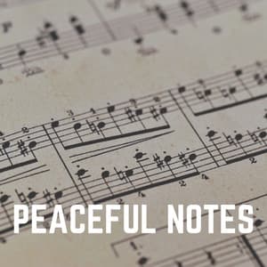 Peaceful Notes - Piano Lovely