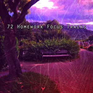 72 Homework Focus Tracks - Pure Massage Music