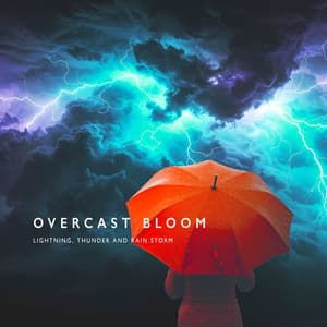 Overcast Bloom - Lightning, Thunder and Rain Storm
