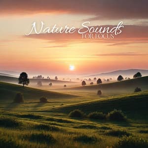 Nature Sounds for Focus: Achieve the State of Concentration and Boost Your Productivity - Improve Concentration Music Oasis