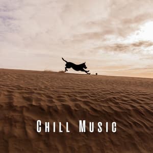 Chill Music: Dog Bliss with Lofi Sounds - The Lofi King