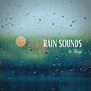 Rain Sounds to Sleep - White Noise Project
